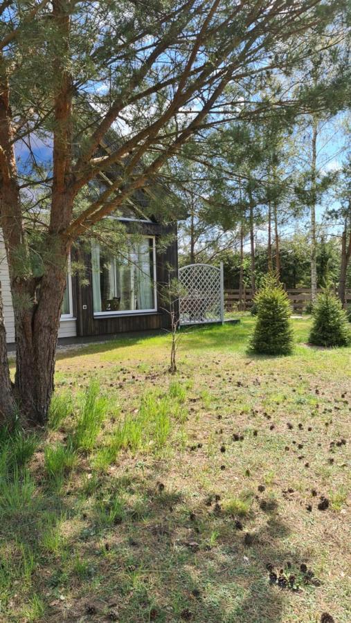 Kruszkanawierzbie Villa Kruszka